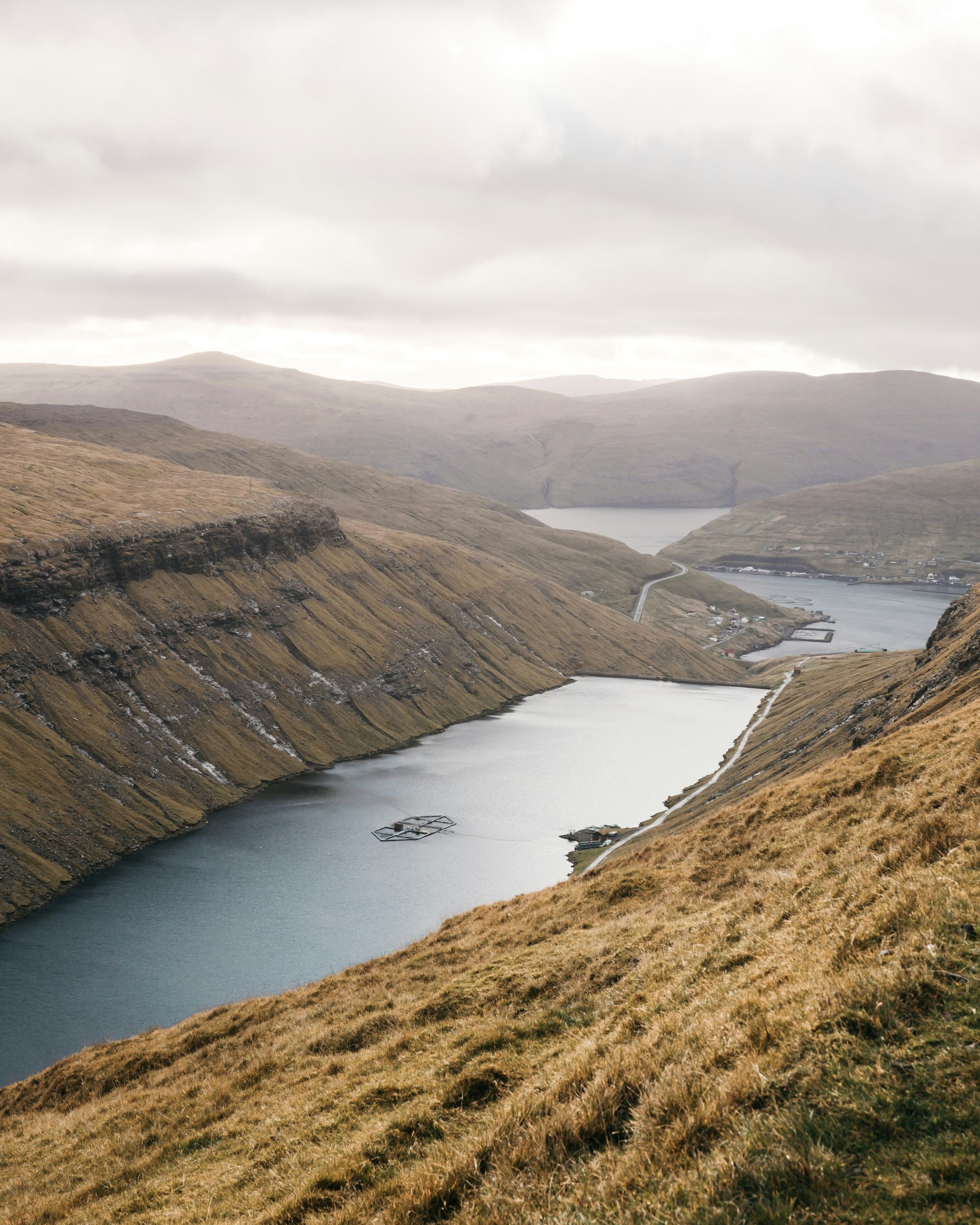Портрет человека
